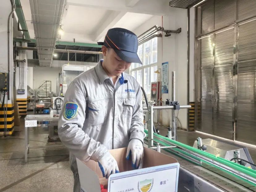 1754543400573544.jpg 6.jpg