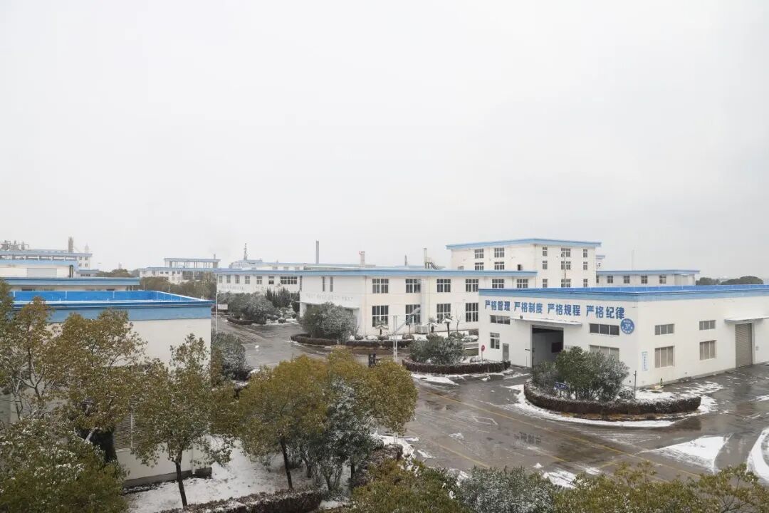 1768905816199029.jpg 7.jpg