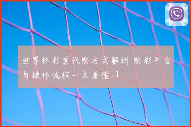世界杯彩票代购方式解析 购彩平台与操作流程一文看懂_1